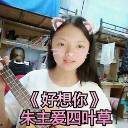 迟到歌曲在线视频,一场关于时间与爱情的旋律之旅