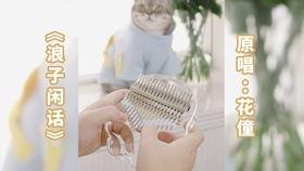 浪子猫猫在线视频,一场跨越时空的奇幻冒险之旅